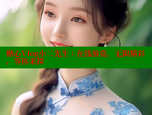 糖心Vlog小二先生：在线鉴赏，无限精彩，等你来探