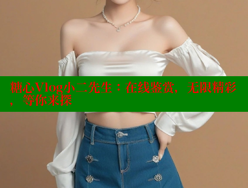 糖心Vlog小二先生：在线鉴赏，无限精彩，等你来探