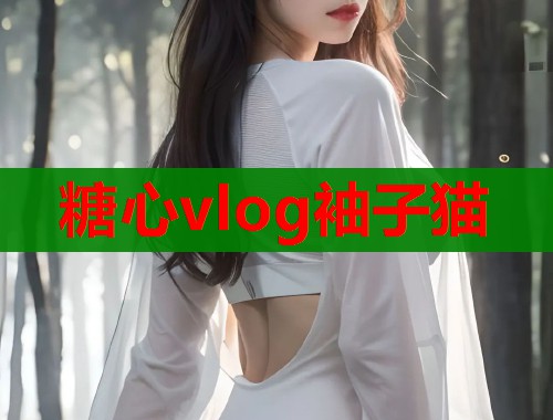 糖心vlog袖子猫