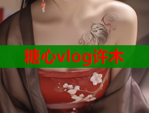 糖心vlog许木