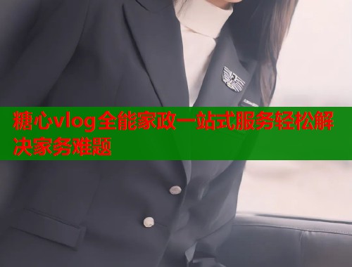 糖心vlog全能家政一站式服务轻松解决家务难题